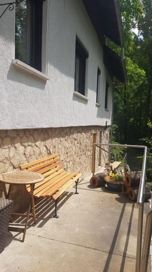 Ferienhaus Mariental Rudolstadt Bagian luar foto